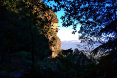 IMG_20190814_1052350
