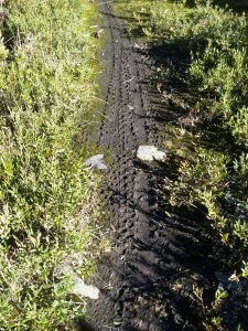 Tyre mark on Mt Boobyalla