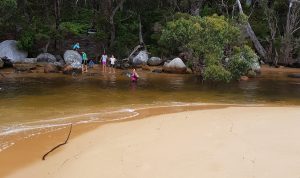 Sealers Creek at high tide