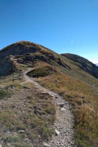 Getting close to Mt Feathertop summit