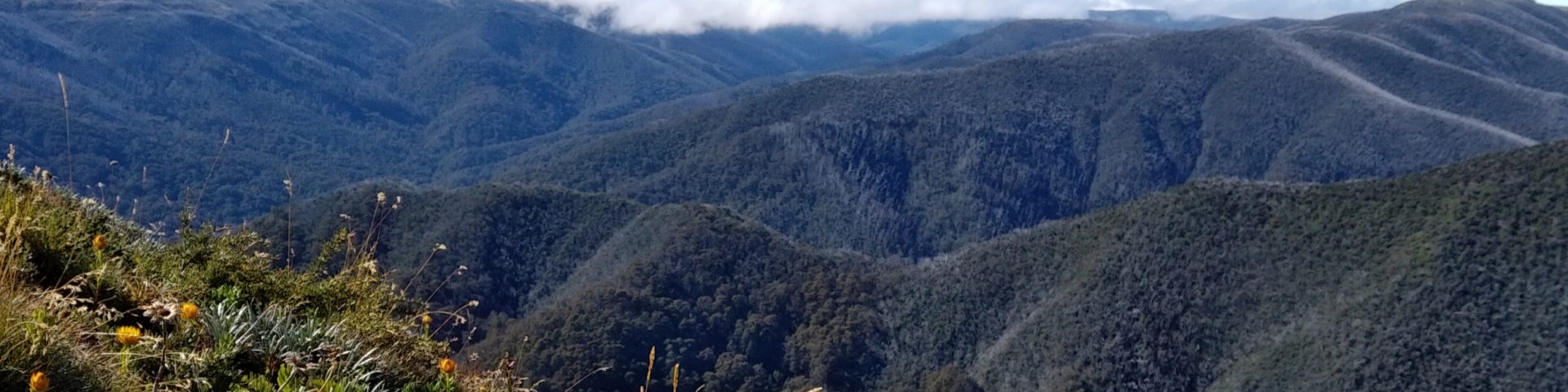 Diamantina Spur