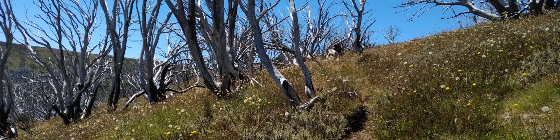 On the High Plains