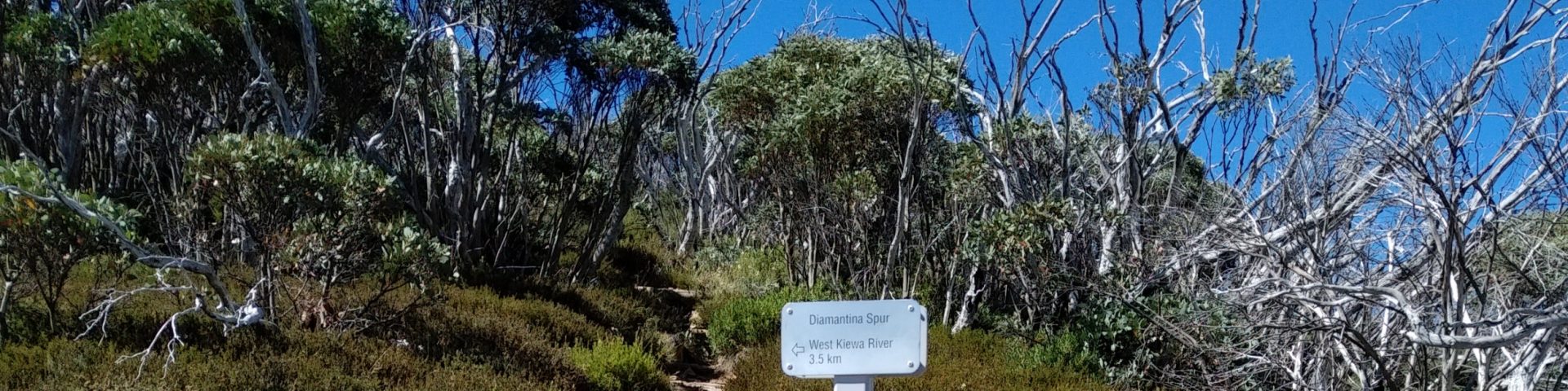 The Diamantina Spur turnoff