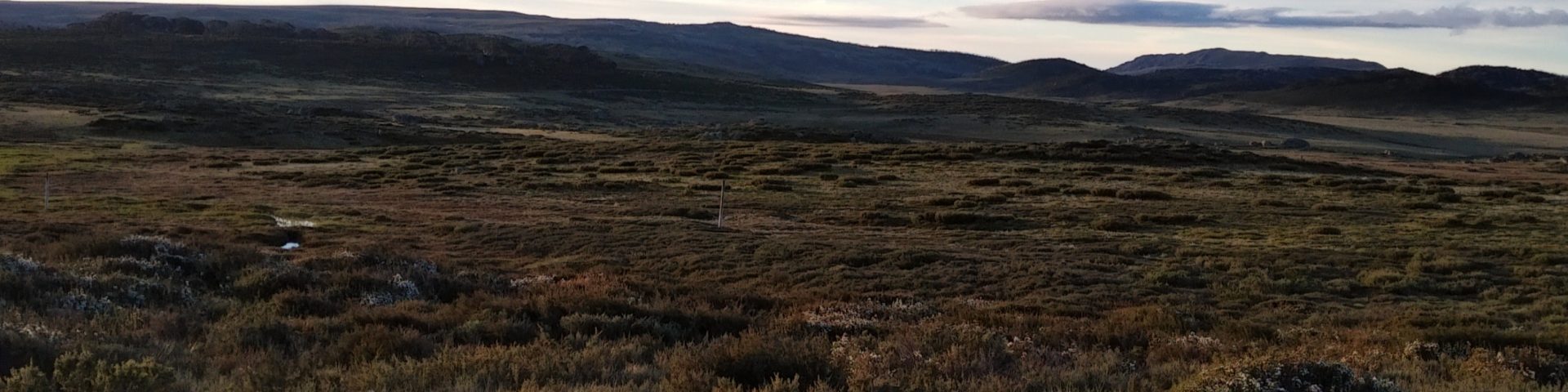 The High Plains
