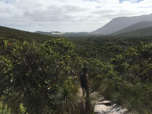 On Telegraph Tk - overlooking Oberon Bay