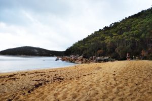 Refuge Cove Nth