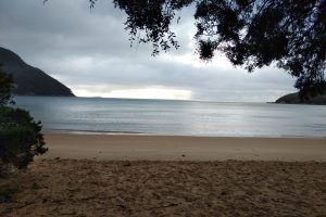 The clouds over Sealers Cove