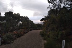 The view of Oberon Bay from Telegraph Tk