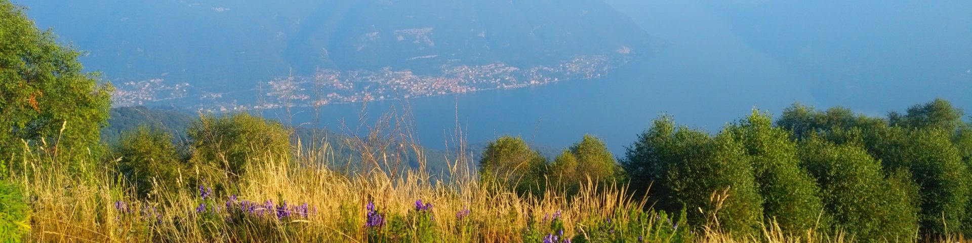 Como to Bellagio
