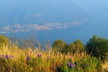 Como to Bellagio